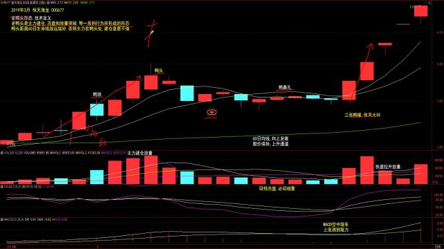 2.老鸭头形态技术定义