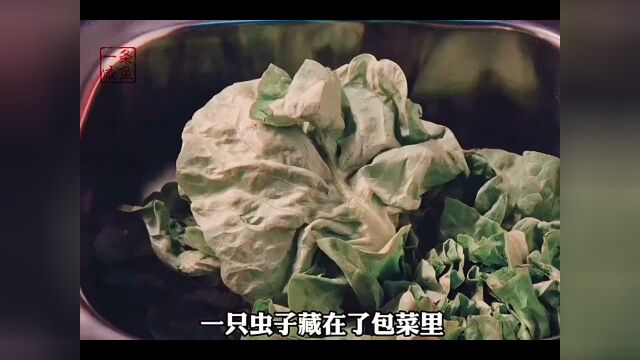 《蛞蝓之灾》鼻涕虫变异成灾