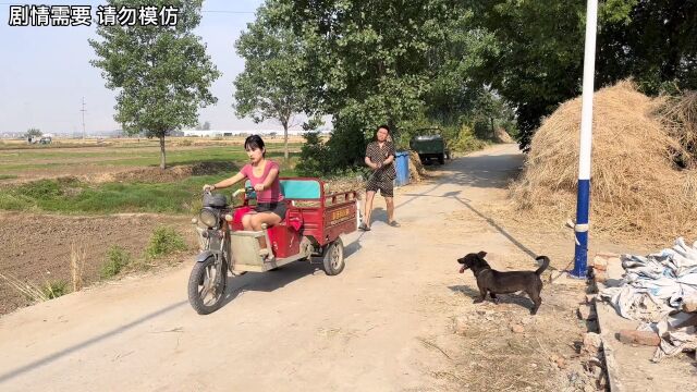 为二胎做准备,让小波去锻炼身体,小波太懒了,无奈悦悦使大招上