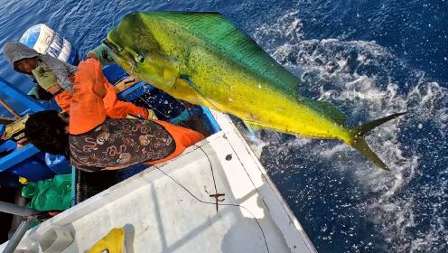 国外赶海抓螃蟹海捕钓鱼南美秘鲁海哥,出深海用串钩钓巨型鬼头刀鱼,好家伙都是几十斤的_高清完整版视频在线观看_腾讯视频