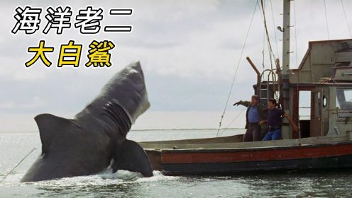 疯狂的大白鲨：男人想要活捉几吨重的大白鲨，反而被大白鲨袭击