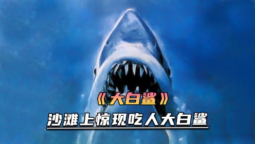 海滩上惊现大白鲨，游客却不止危险来临《大白鲨》
