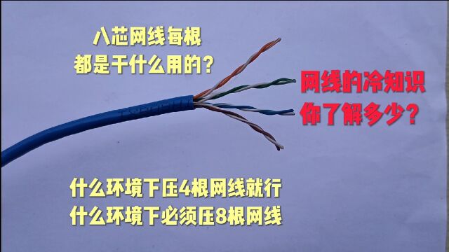 网线冷知识:八芯网线每根都是干什么用的?什么环境下必须压8根网线,什么环境下可以压四根网线