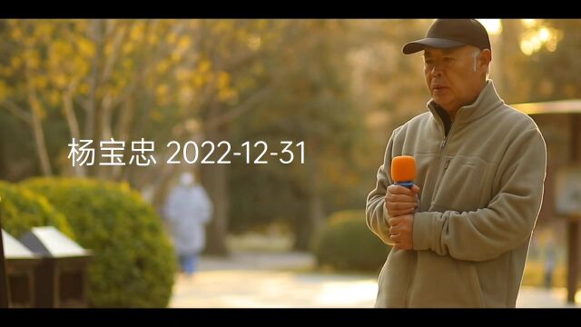 杨宝忠:你的世界我来过 20221231