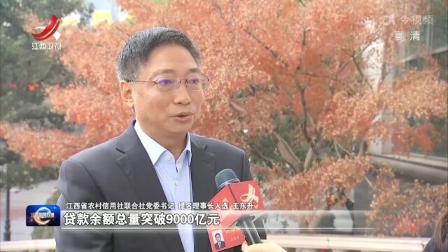 王东升接受江西新闻联播采访:力争明年贷款余额突破9000亿元