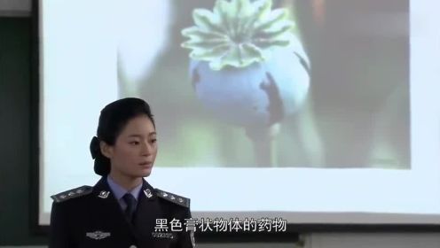 警官教学生辨认罂粟，农村小子一看图片：我们村里全是！