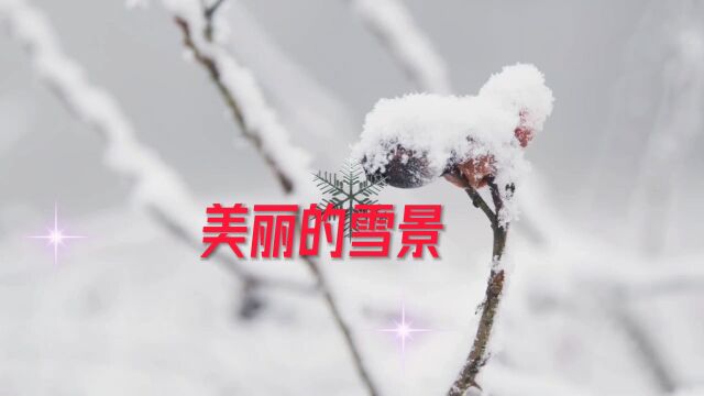 美丽的雪景