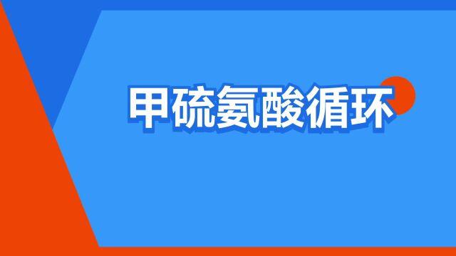 “甲硫氨酸循环”是什么意思?