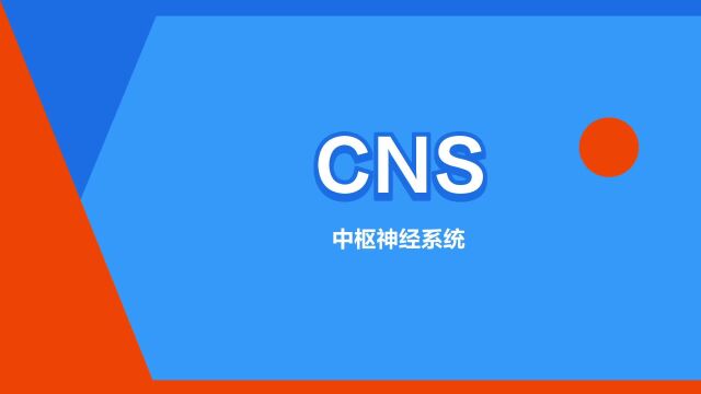 “CNS”是什么意思?