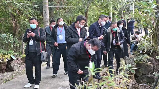 第十二届中国(龙陵)石斛产业发展论坛举行系列活动