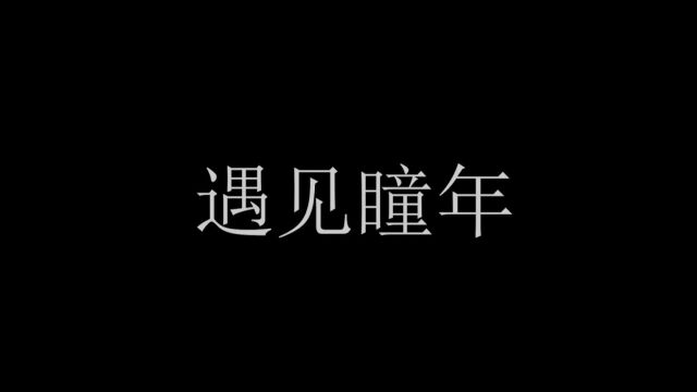 助盲志愿活动作品遇见瞳年