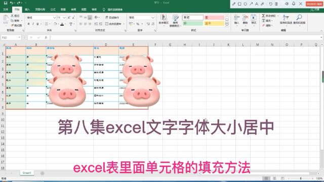 第八集Excel文本字体大小居中