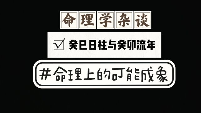 30癸巳日柱与癸卯流年命理学成象可能性参考,解读传承易学文化