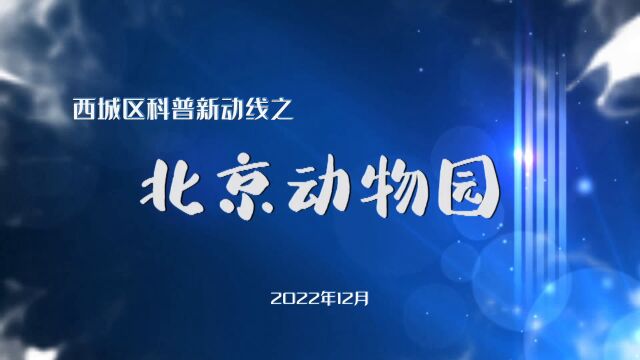 科普新动线|走进北京动物园,体验自然与科技的完美融合