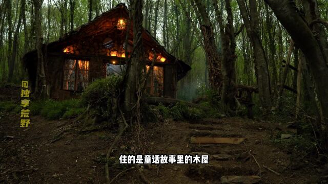 荒野建造:这是什么神仙生活,吃着原生态牛肉,躺着纯手工沙发