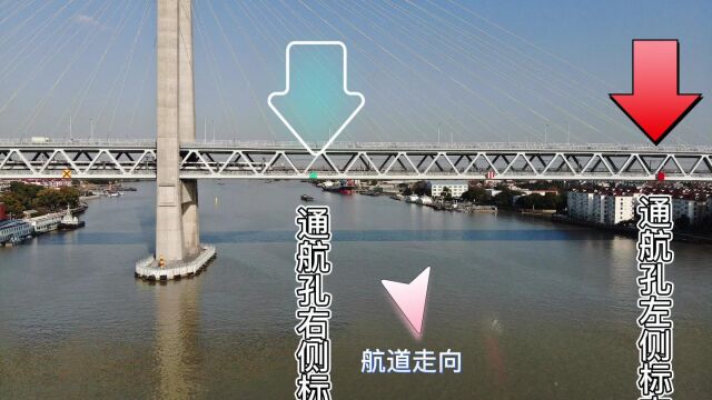 黄浦江跨江桥梁助航标志,你都知道吗?