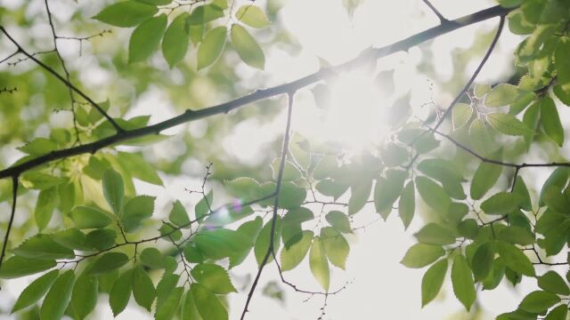 吉利嘉际L 什么才是理想家?