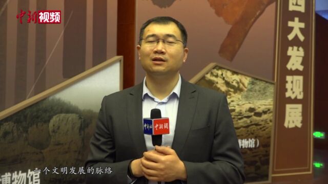 从甲骨文到明清档案,中国古文献“四大发现”首次集中展出