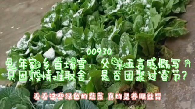 00727兔年家乡首场雪 父亲五言感慨写只因疫情难取舍 是否团聚过春节