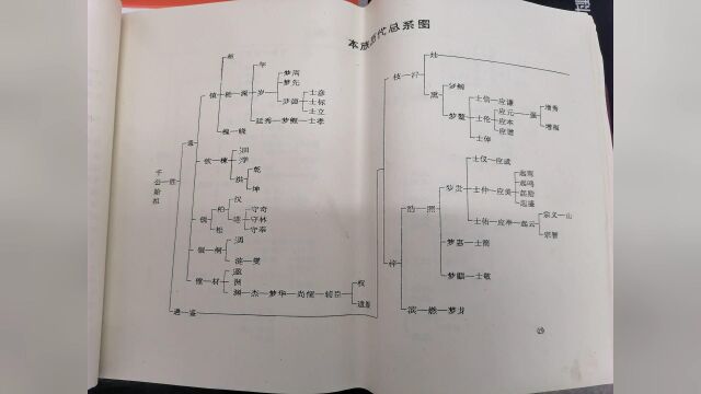 安徽省明光桑姓家谱(上)