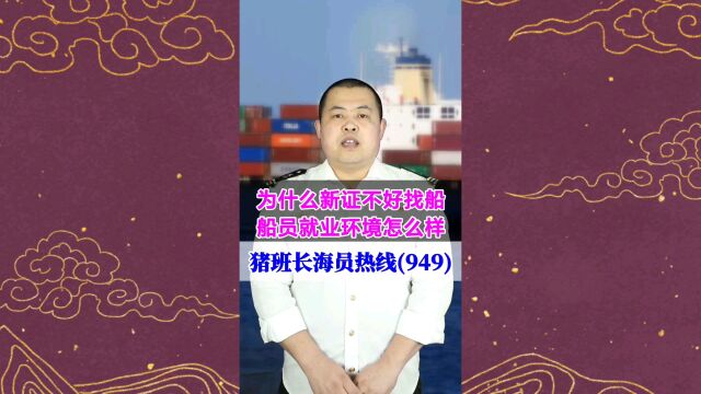 为什么新证不好找船?船员就业环境怎么样(猪班长海员热线949期)