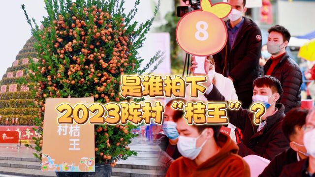 中集产城佛山公司竞得2023陈村“桔王”!