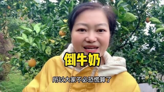 多地重现倒牛奶事件,到底是为什么?