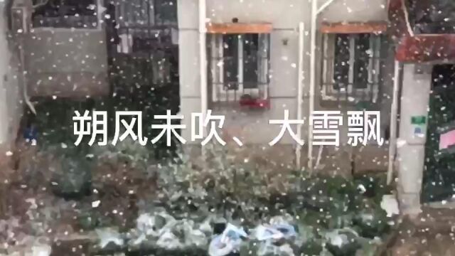 上海的第一场雪