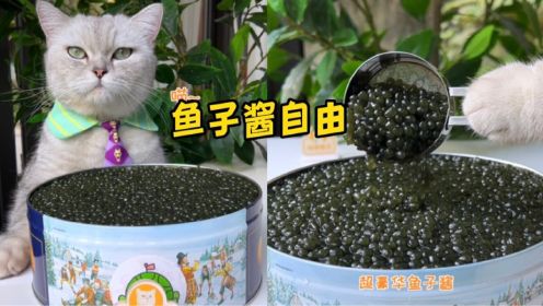 猫王：终于实现鱼子酱自由了！