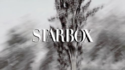 STARBOX x 分贝在出逃