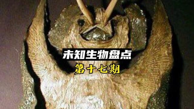 本期福利:评论点赞最高的送书!大家一起来互动~#未知生物 #灵异事件 #奇闻异事 #神秘事件