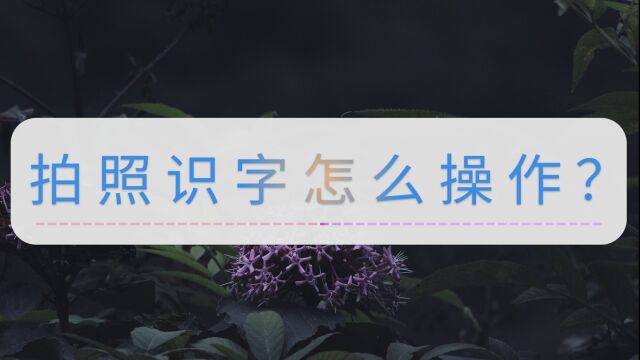 拍照识字怎么操作?这些方法快收下