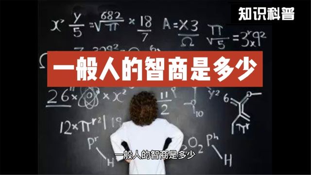 一般人的智商是多少?