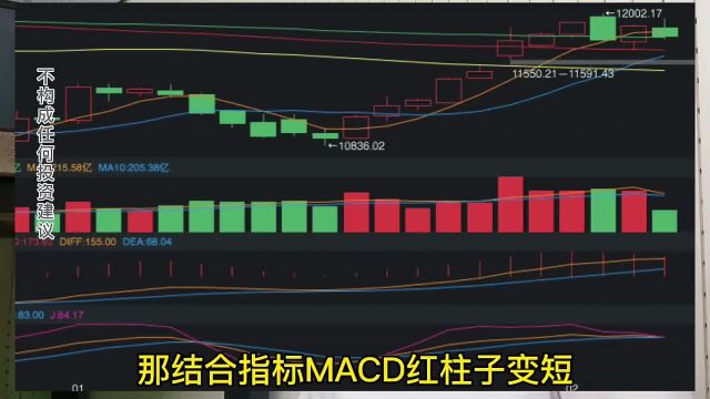 2月6日基金午盘分析 #理财 #基金 #投资