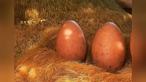 最大的蛋，孵化出最小的恐龙 # 动画电影 # 恐龙当家
