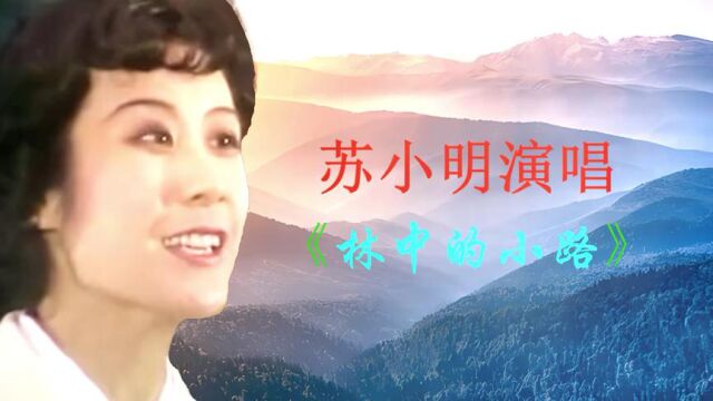 苏小明《林中小路》经典老歌,怀旧音乐,熟悉的旋律,超好听!