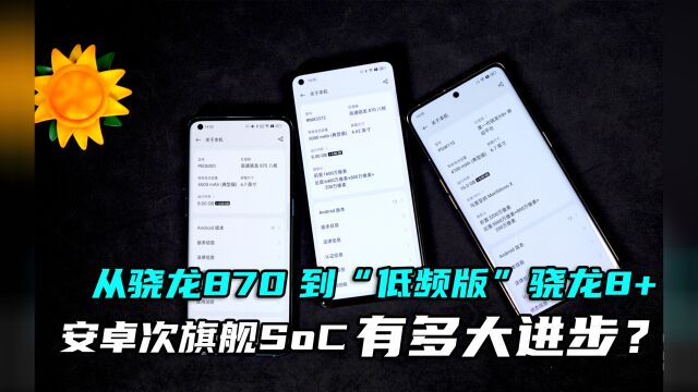 从骁龙870到“低频版”骁龙8+,安卓次旗舰的性能进步了多少