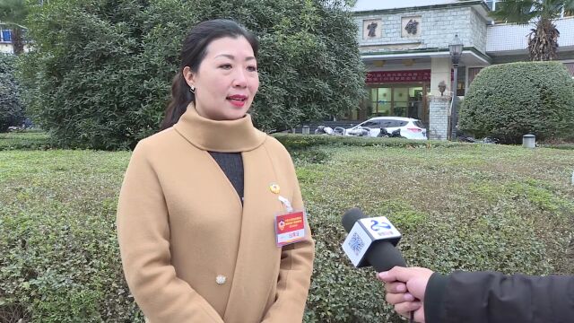 【聚焦两会】政协略阳县第十四届委员会第三次会议开幕