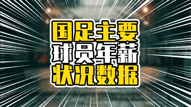 国足主要球员年薪状况,合计达4.55亿,难怪一个个都想要进入国足