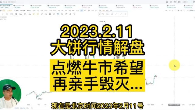 2023.2.11 大饼行情解盘之点燃牛市希望再亲手毁灭