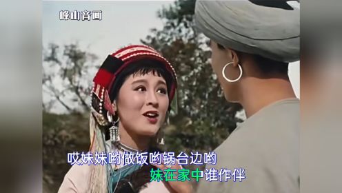 《阿诗玛》是上海电影制片厂摄制的音乐歌舞故事片，由刘琼执导，杨丽坤、包斯尔主演，从1964年开始曾在小范围内放映，于1979年元旦在中国大陆公映。
