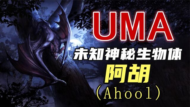 【UMA系列】第十四期:印尼人形蝙蝠,阿胡