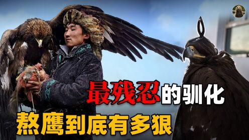 驯服金雕有多难?一人一鹰七天不合眼,神秘的熬鹰究竟有多残忍?_高清1080P在线观看平台_腾讯视频