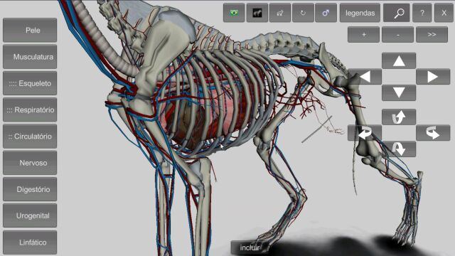 兽医狗体解剖软件,3D动物解剖学实验教学软件,狗3D使用演示视频