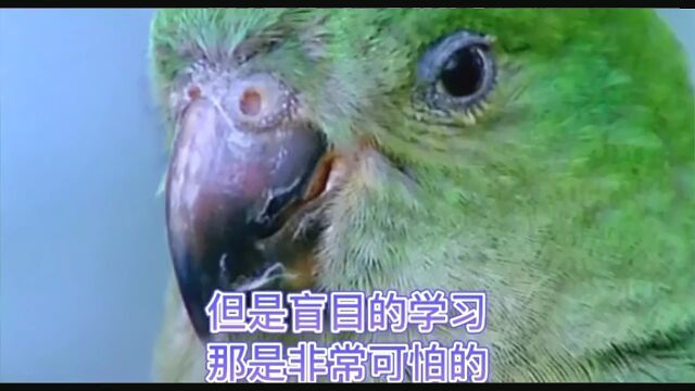 曾老师智慧:大恩不言谢,父母的养育之恩,可以谢吗?一辈子都还不了的恩情