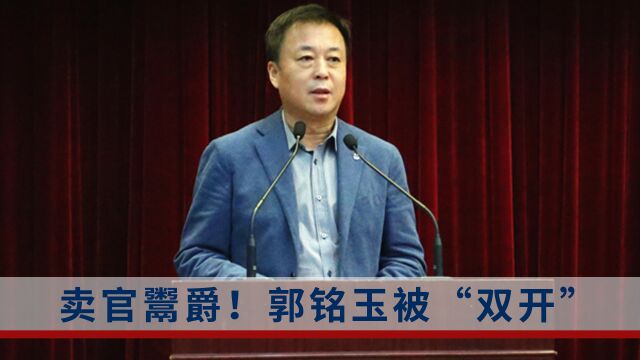 严重污染所任职系统政治生态!郭铭玉被“双开”:曾泄露涉密资料、主动寻租