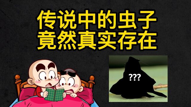 冷知识:虫子的搞笑行为神盘点,每个都是极品!