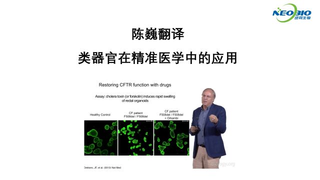 【陈巍翻译】类器官在精准医学中的应用