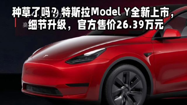 特斯拉Model Y,全新上市,升级细节,最低售价26.39万元,让人爱不释手