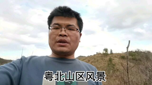 韶关山区景色,漂亮吗